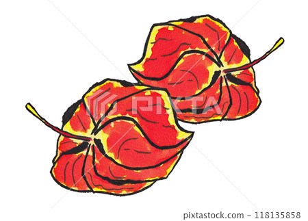 Hand-painted watercolor painting (etegami) "Higanbana" (2 lantern cherries) 118135858