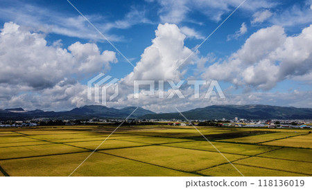 Autumn rice fields and autumn sky Autumn rice fields and autumn sky 118136019
