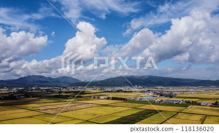 Autumn rice fields and autumn sky Autumn rice fields and autumn sky 118136020