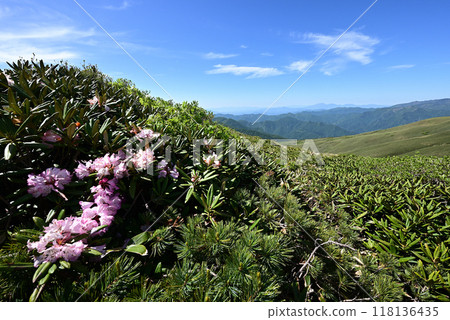 攀登群馬縣平柴山、千倉山 118136435