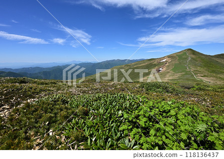 攀登群馬縣平柴山、千倉山 攀登群馬縣平柴山、千倉山 118136437
