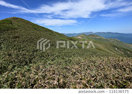 Climbing Mount Hirashira and Mount Sennokura, Gunma Prefecture 118136575