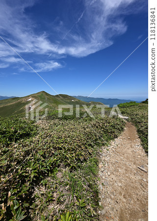 Climbing Mount Hirashira and Mount Sennokura, Gunma Prefecture Climbing Mount Hirashira and Mount Sennokura, Gunma Prefecture 118136841