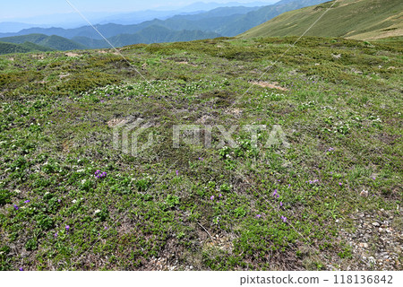 Climbing Mount Hirashira and Mount Sennokura, Gunma Prefecture Climbing Mount Hirashira and Mount Sennokura, Gunma Prefecture 118136842