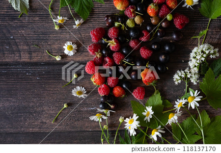 Fresh berries. Red currants, blackberries, blueberries and raspberries in bowls on a large wooden board with mint leaves, strawberries and pomegranate seeds. Background image, top view, vertical 118137170
