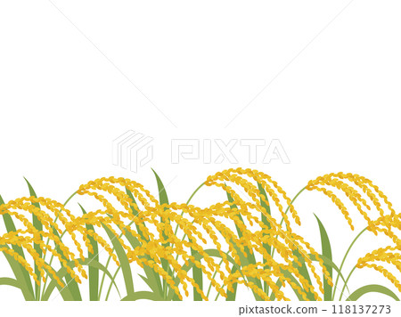 稻穗背景_向量圖 稻穗背景_向量圖 118137273