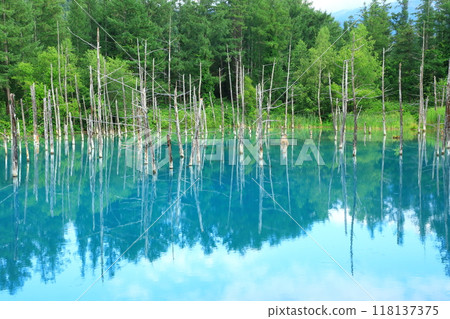 Biei-cho Blue Pond Biei-cho Blue Pond 118137375