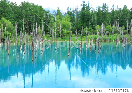 Biei-cho Blue Pond 118137378