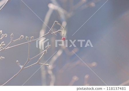 冬天的衣服，冬天的顏色，冬天的形狀。 118137481