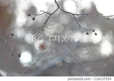 Winter outfits, winter colors, winter shapes. Winter outfits, winter colors, winter shapes. 118137554