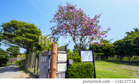 橫須賀市的古民居 118137718