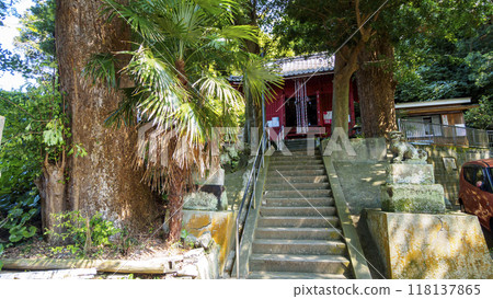 Approach leading to the shrine Approach leading to the shrine 118137865