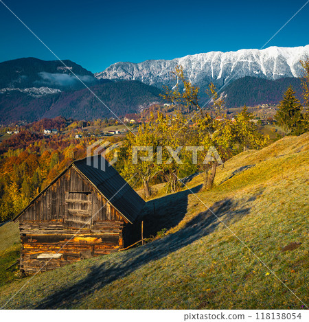 Autumn rural scenery with beautiful deciduous trees and snowy mountains 118138054