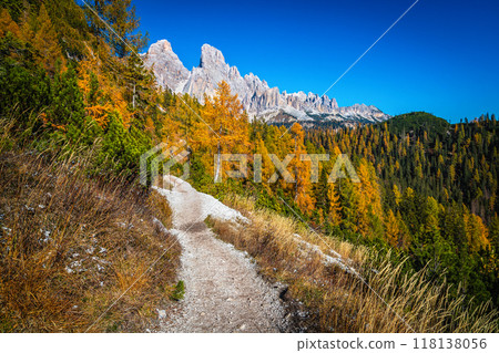 Narrow hiking trail in the autumn forest, Dolomites, Italy Narrow hiking trail in the autumn forest, Dolomites, Italy 118138056