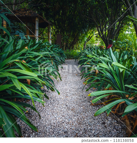 Narrow pathway with plants in the botanical garden, Menton, France 118138058