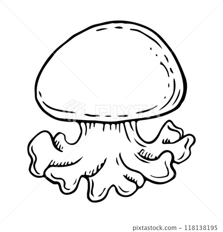 Australian blubber jellyfish black and white vector illustration. Phyllorhiza punctata tropical sea and ocean animal simple ink sketch for marine designs and nautical prints Australian blubber jellyfish black and white vector illustration. Phyllorhiza punctata tropical sea and ocean animal simple ink sketch for marine designs and nautical prints 118138195