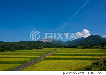 日本鳥取縣美麗的夏末大山 118138550