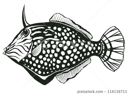 一個簡單的黑白剪紙插圖，展示了一條可愛的紅魚 118138713