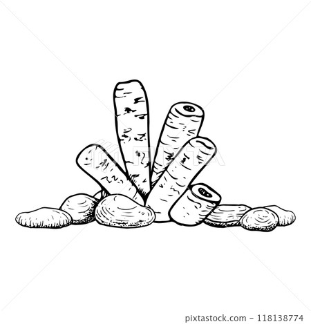 Tube sponge coral with sea rocks vector illustration in black and white. Red sea underwater marine animal on seabed simple ink sketch for tropical ocean nature designs 118138774