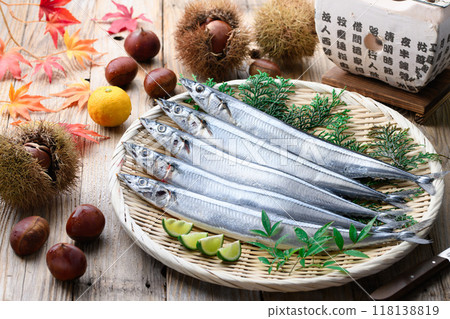 Autumn taste: Fresh Hokkaido pacific saury 118138819