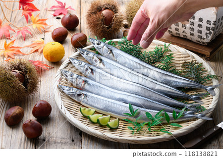 Autumn taste: Fresh Hokkaido pacific saury Autumn taste: Fresh Hokkaido pacific saury 118138821