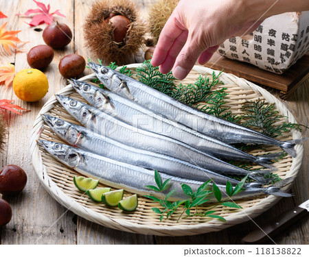 Autumn taste: Fresh Hokkaido pacific saury Autumn taste: Fresh Hokkaido pacific saury 118138822