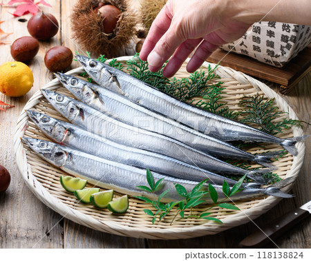 秋天的味道：北海道生秋刀魚 118138824