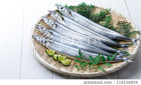 秋天的味道：北海道生秋刀魚 118138859