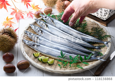 秋天的味道:北海道生秋刀魚 秋天的味道:北海道生秋刀魚 118138868