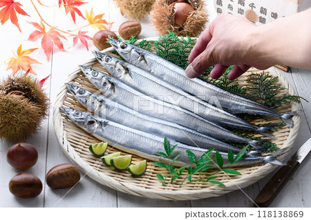 秋天的味道:北海道生秋刀魚 秋天的味道:北海道生秋刀魚 118138869