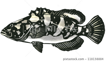 A paper cut-out illustration of the super-prestigious fish, grouper A paper cut-out illustration of the super-prestigious fish, grouper 118138884