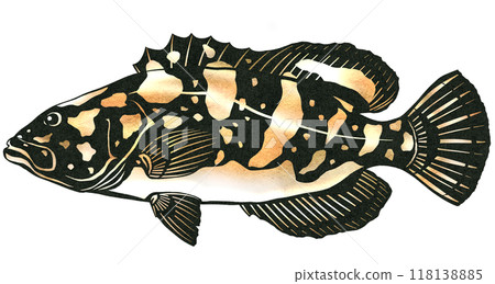 高級魚立方體的剪圖 高級魚立方體的剪圖 118138885