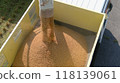 Koshihikari rice harvested in 2024 118139061