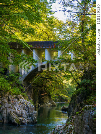岩手縣墨田町葉山眼鏡橋水園 岩手縣墨田町葉山眼鏡橋水園 118139180