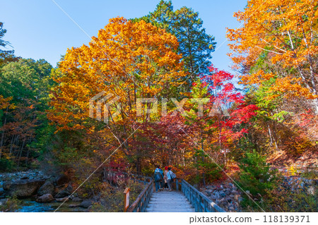 赤澤溪谷（秋季）：赤澤自然休養林 118139371