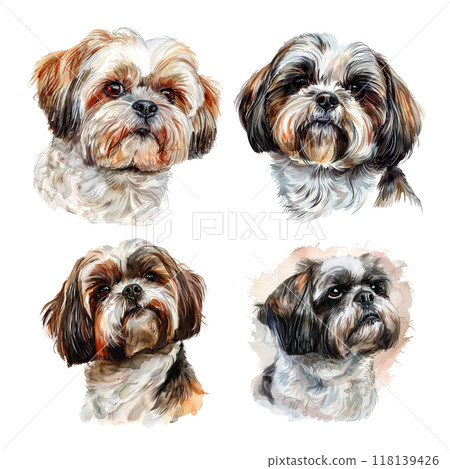 Four watercolor portraits of adorable Shih Tzus head dog, showcasing their fluffy fur and expressive eyes. Pet, Dog lover. 118139426