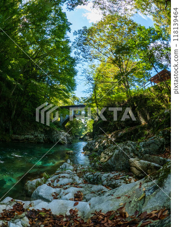岩手縣墨田町葉山眼鏡橋水園 岩手縣墨田町葉山眼鏡橋水園 118139464