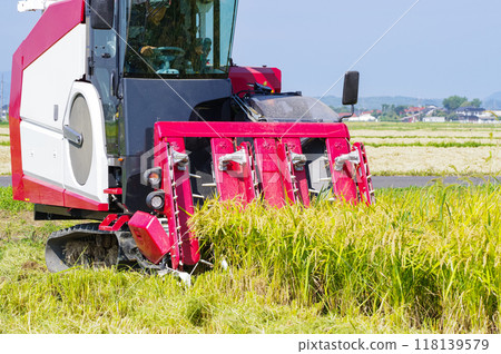 大型聯合收割機正在收割水稻 118139579