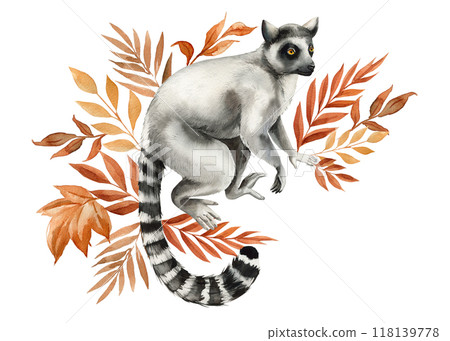 lemur, tropical leaves watercolor isolated on white background, Safari animal, autumn plant. Jungle autumn floral 118139778