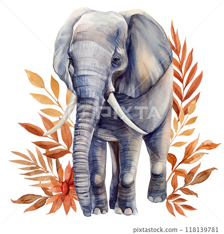 Elephant, tropical leaves watercolor isolated on white background, Safari animal, autumn plant. Jungle autumn floral Elephant, tropical leaves watercolor isolated on white background, Safari animal, autumn plant. Jungle autumn floral 118139781