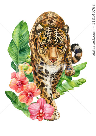 Jaguar, tropical leaves watercolor isolated. Watercolor leopard illustration. Safari animal. jungle floral wildlife 118140768