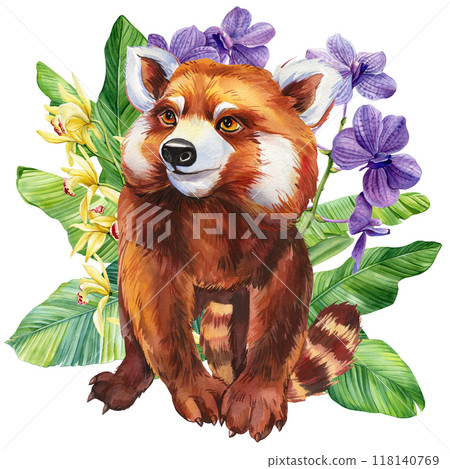 Red panda, tropical leaves, orchid flower watercolor painting isolated on a white background. Cute animal jungle floral 118140769