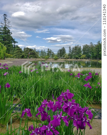 Hiraizumi Motsuji Temple Iris and Oizumigaike Pond Hiraizumi Motsuji Temple Iris and Oizumigaike Pond 118141340