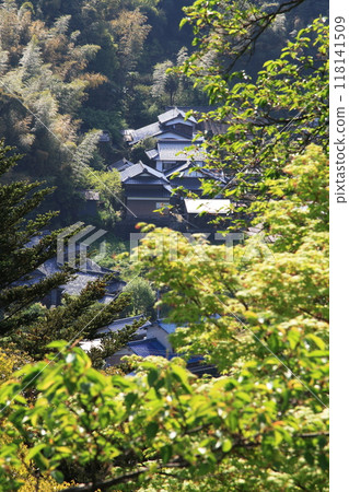 Scenery of a village surrounded by fresh greenery Scenery of a village surrounded by fresh greenery 118141509