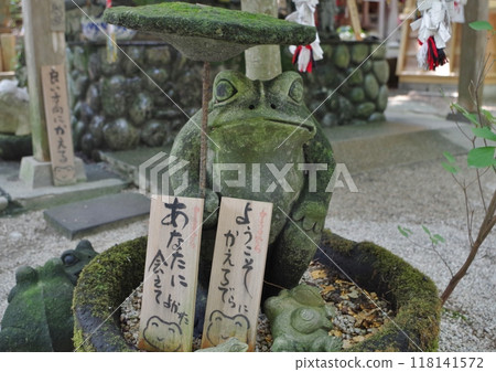 Ogori City Frog Temple (Nyoirinji Temple) Ogori City Frog Temple (Nyoirinji Temple) 118141572