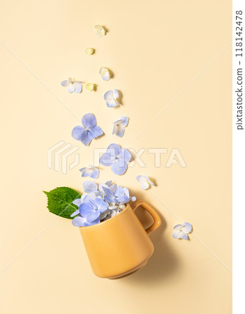 Flat lay bouquet of blue hydrangea flowers falling out of a yellow cup on a yellow background. Flat lay bouquet of blue hydrangea flowers falling out of a yellow cup on a yellow background. 118142478