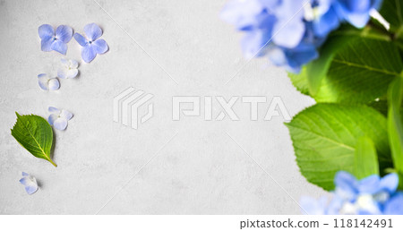 Beautiful bouquet of blue hydrangea on a gray texture background. Beautiful bouquet of blue hydrangea on a gray texture background. 118142491