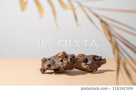 Natural wood driftwood with a complex texture on a beige background with a dry palm leaf and shadow. 118142509