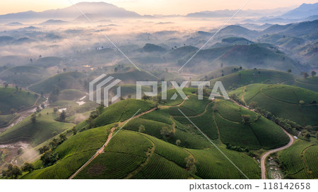Beautiful aerial view of Long Coc tea hills. Long Coc in Phu Tho Province, Vietnam Beautiful aerial view of Long Coc tea hills. Long Coc in Phu Tho Province, Vietnam 118142658