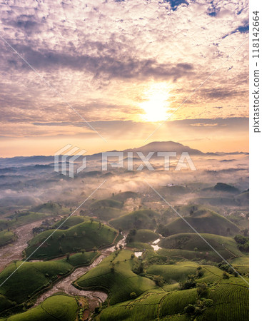 Beautiful aerial view of Long Coc tea hills. Long Coc in Phu Tho Province, Vietnam Beautiful aerial view of Long Coc tea hills. Long Coc in Phu Tho Province, Vietnam 118142664